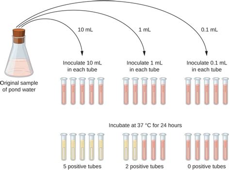 mpn test.
